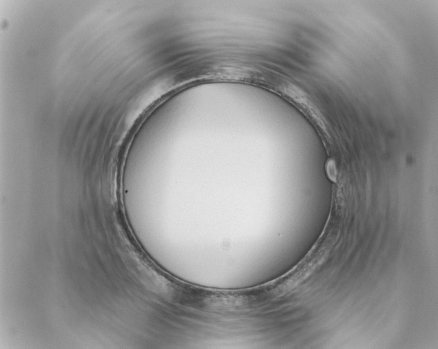 X0000089421083200706291027