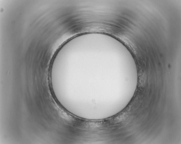 X0000089421086200706291027