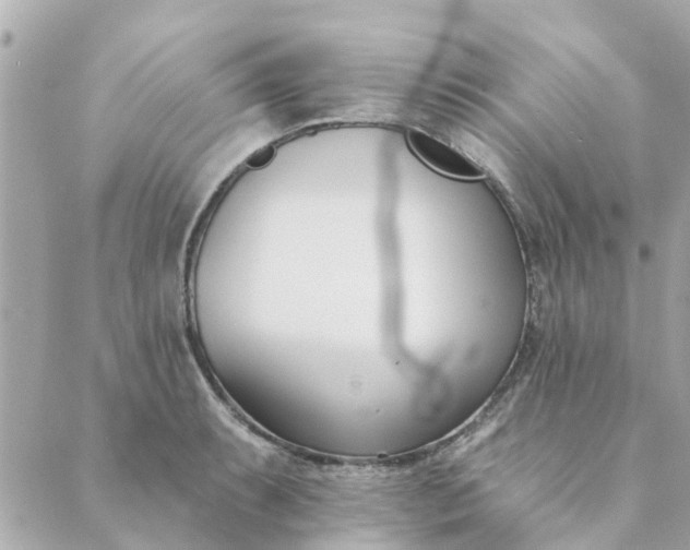 X0000089421087200706291027