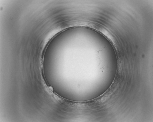 X0000089421088200706291027