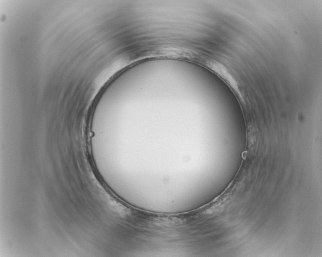 X0000089421091200706291027