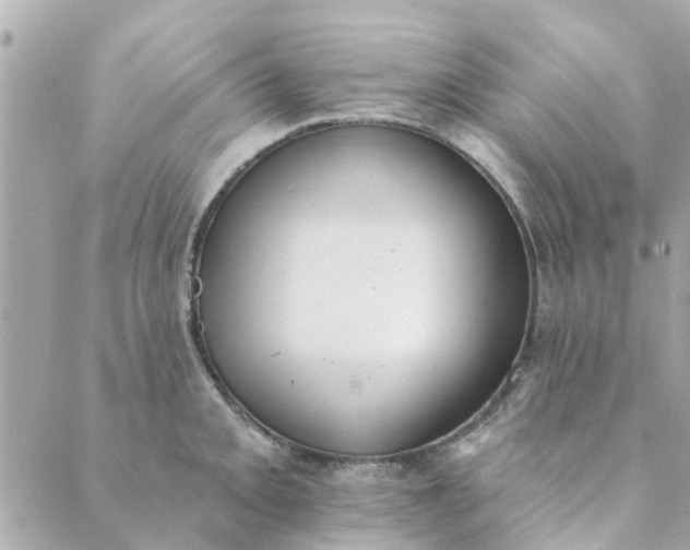 X0000089421093200706291027