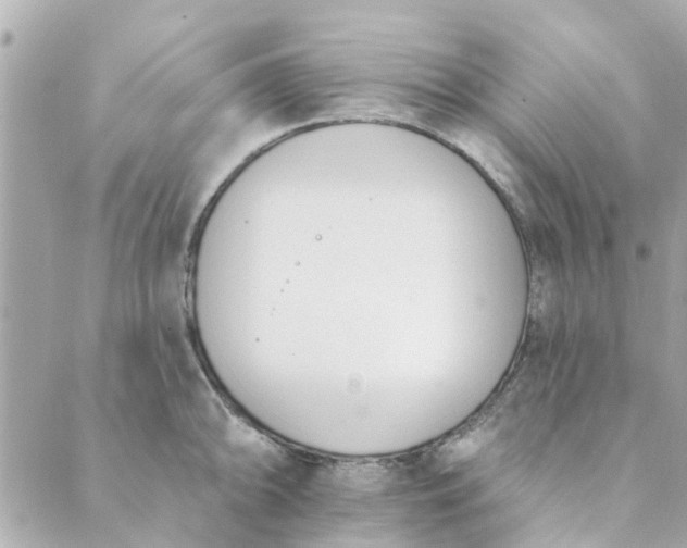 X0000089421094200706291027