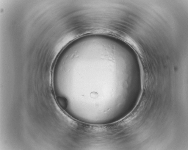 X0000089421095200706291027