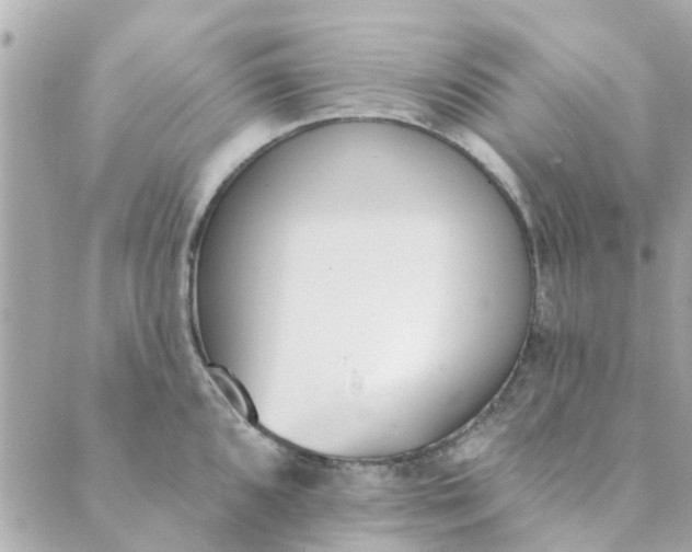 X0000089421096200706291027