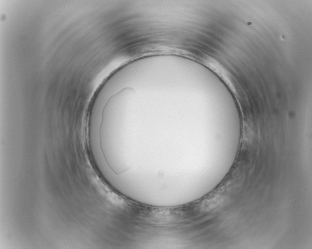 X0000089421098200706291027