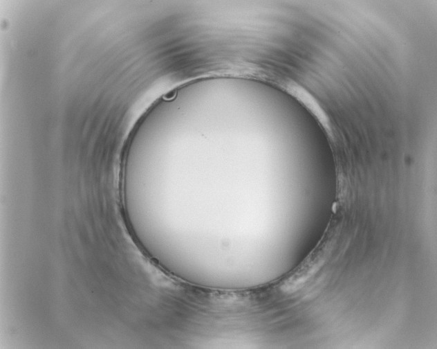 X0000089421099200706291027