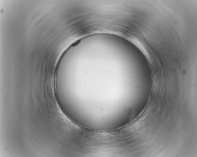 X0000089421100200706291027