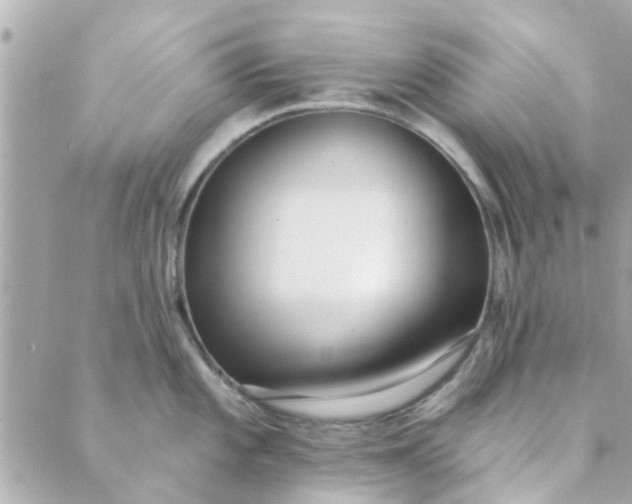 X0000089421101200706291026