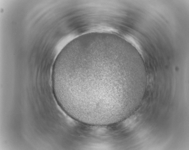 X0000089421103200706291026