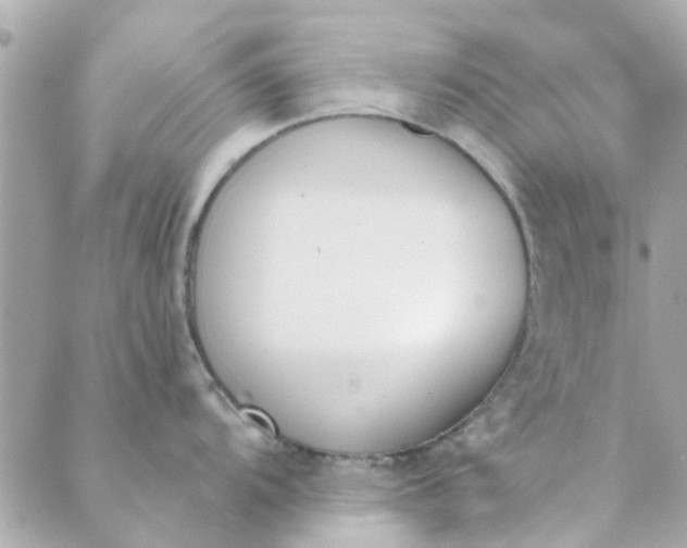 X0000089421104200706291026