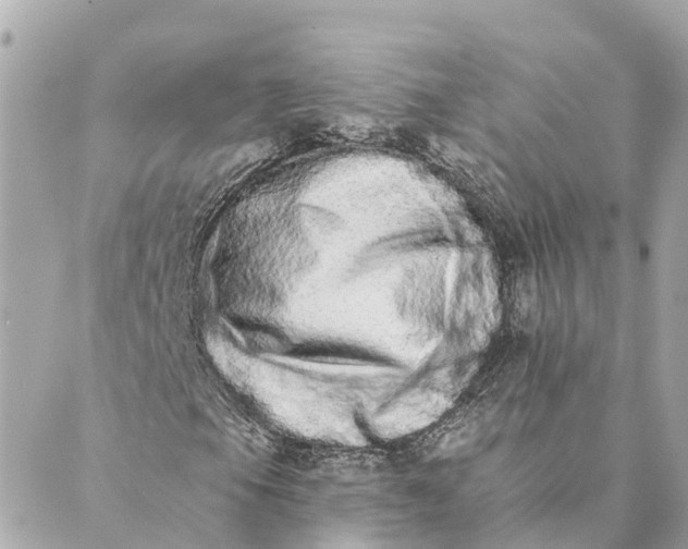 X0000089421105200706291026