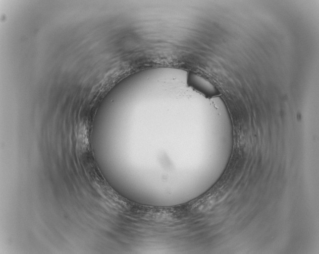 X0000089421106200706291026