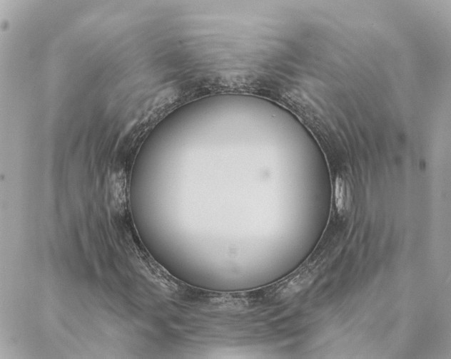 X0000089421107200706291026