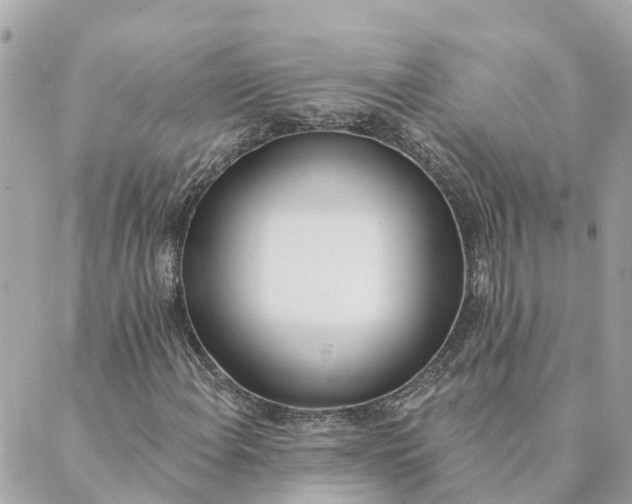 X0000089421108200706291026