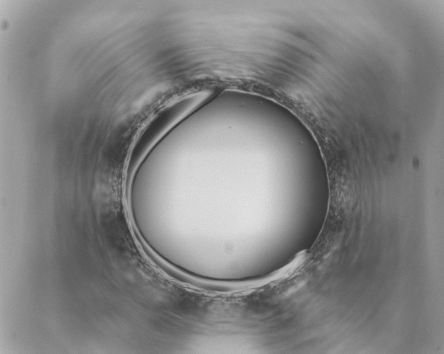 X0000089421110200706291026