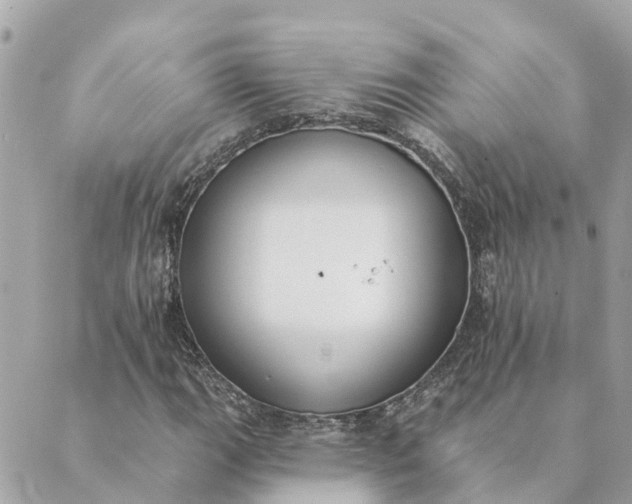 X0000089421111200706291026