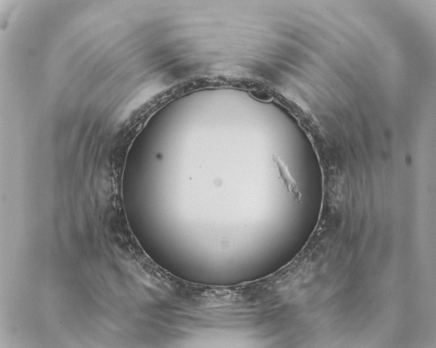 X0000089421112200706291026