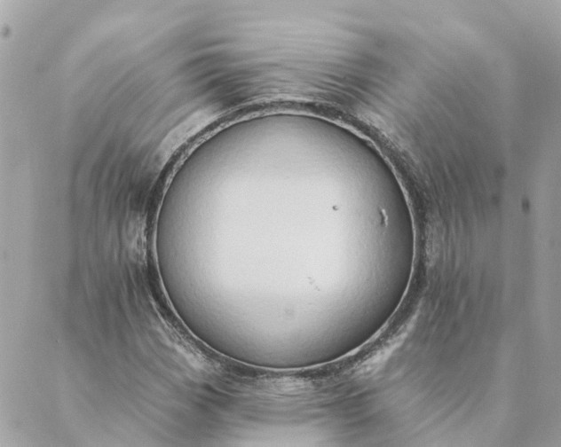 X0000089421113200706291026