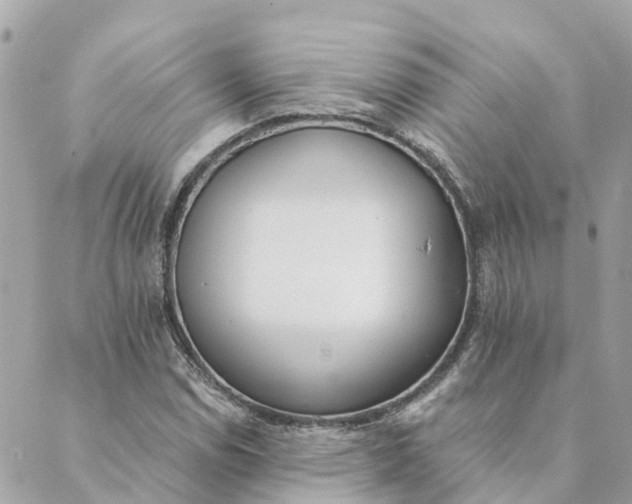 X0000089421114200706291026