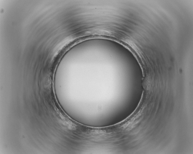 X0000089421115200706291026