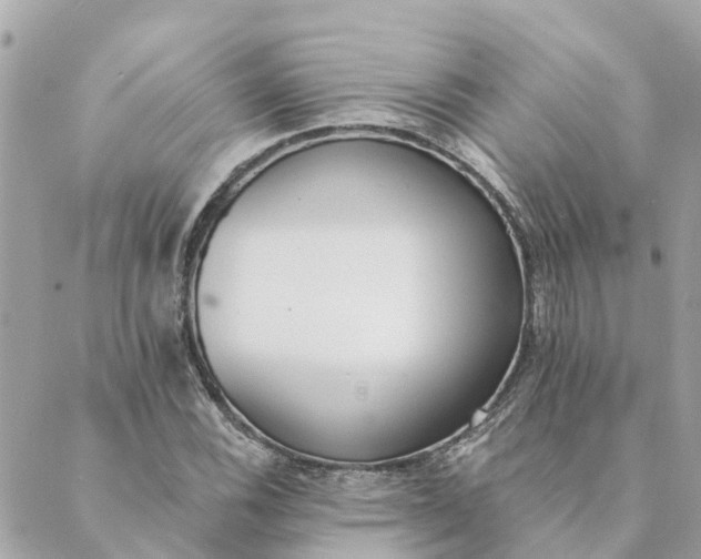 X0000089421116200706291026