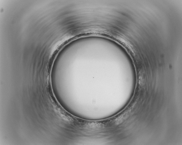 X0000089421117200706291026