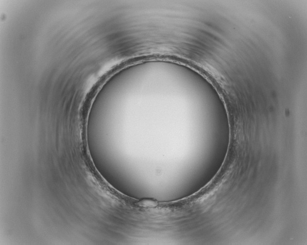 X0000089421118200706291026