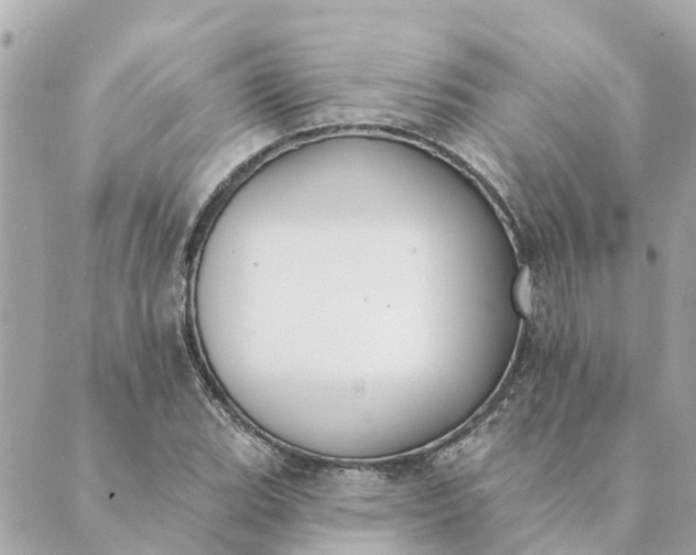 X0000089421119200706291026