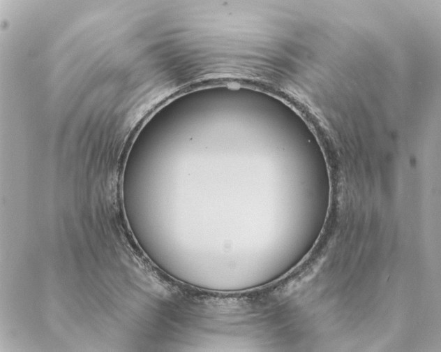 X0000089421121200706291026