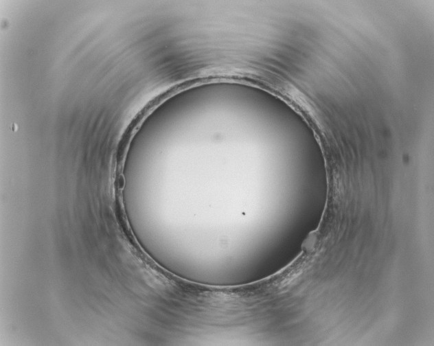 X0000089421124200706291026