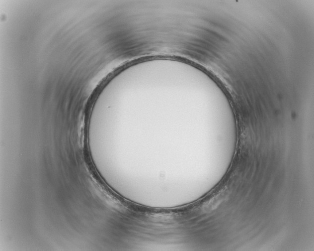 X0000089421126200706291026