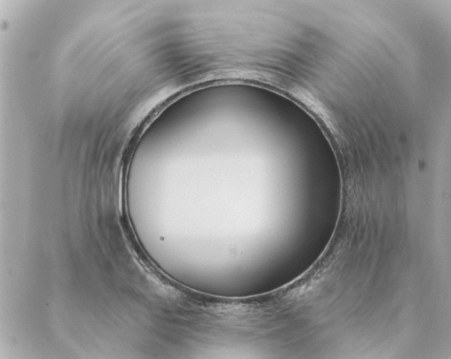 X0000089421127200706291026