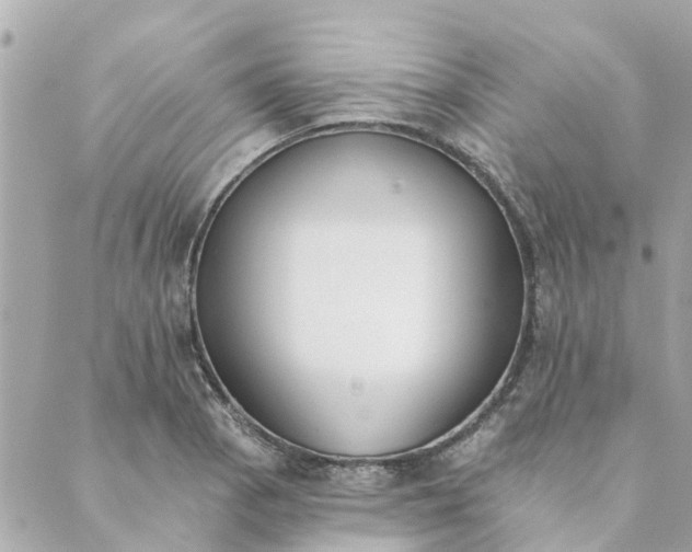 X0000089421129200706291026