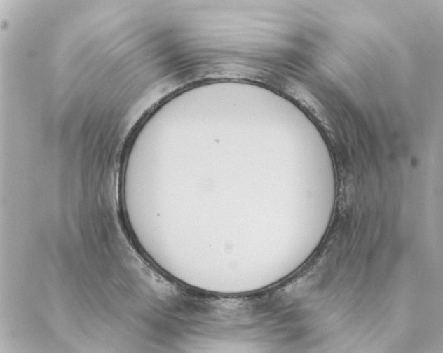 X0000089421130200706291026