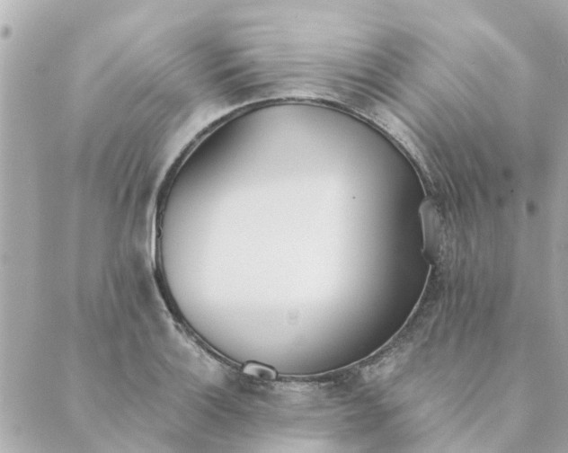 X0000089421132200706291026