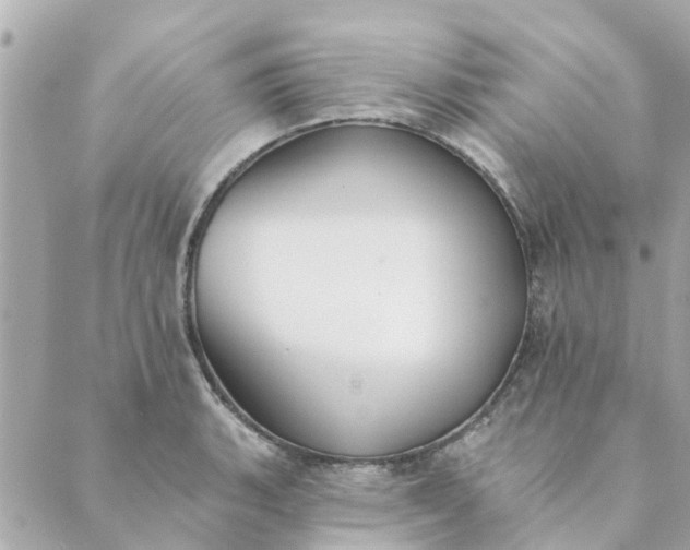 X0000089421135200706291026