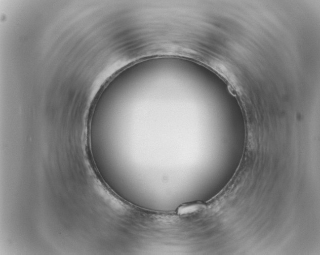 X0000089421136200706291026