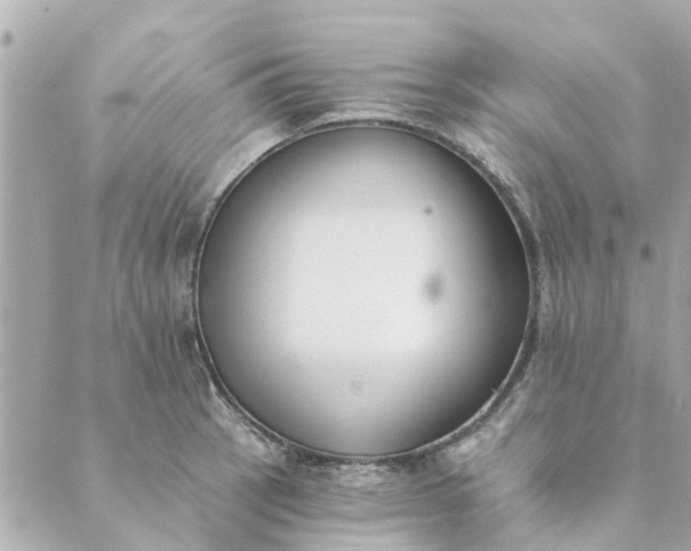 X0000089421137200706291026