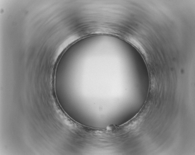 X0000089421138200706291026