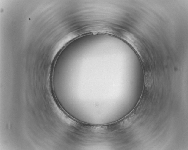 X0000089421139200706291026