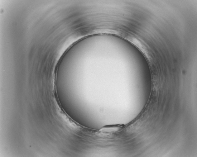 X0000089421140200706291026