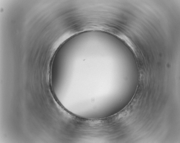 X0000089421143200706291026