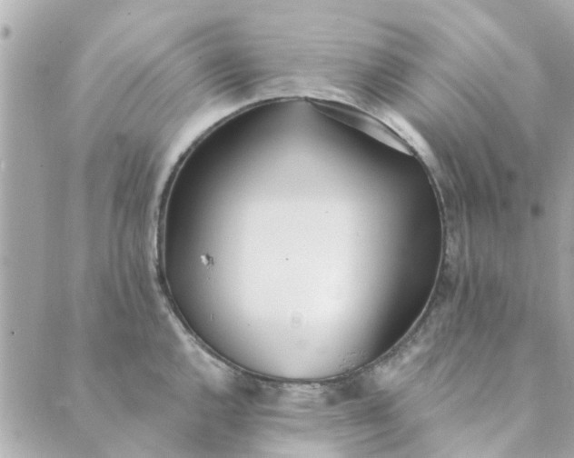 X0000089421144200706291026