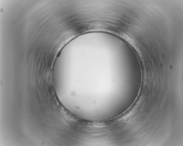 X0000089421145200706291026