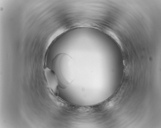 X0000089421146200706291026