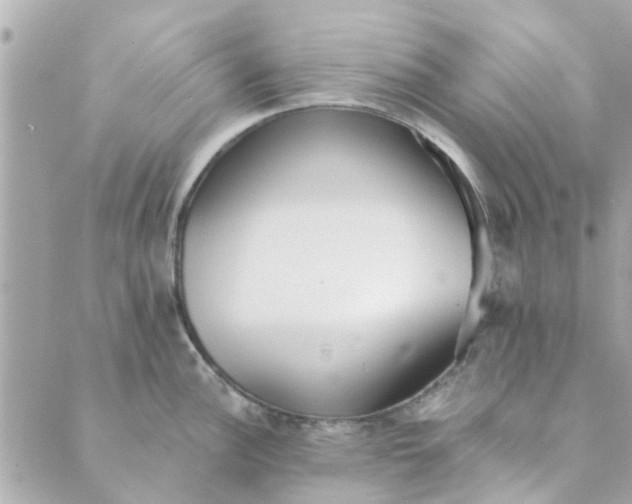 X0000089421148200706291026