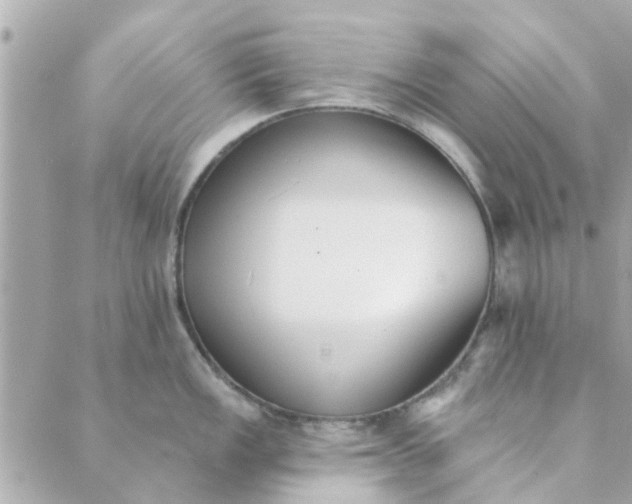 X0000089421149200706291026