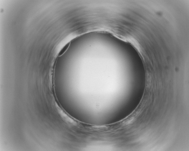 X0000089421151200706291026