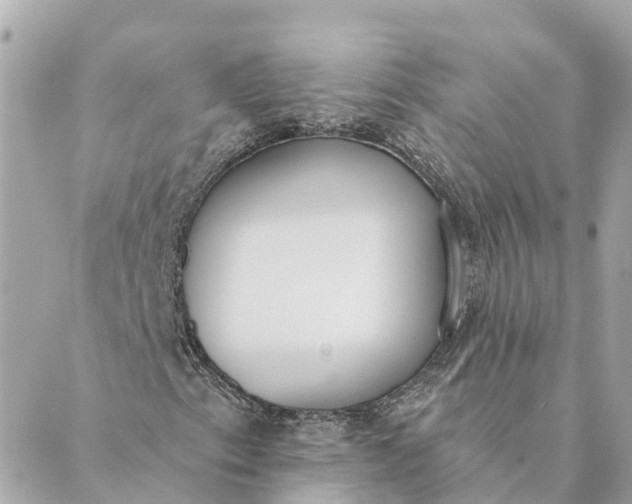 X0000089421153200706291026